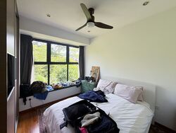 Holland Link (D10), Terrace #525091571